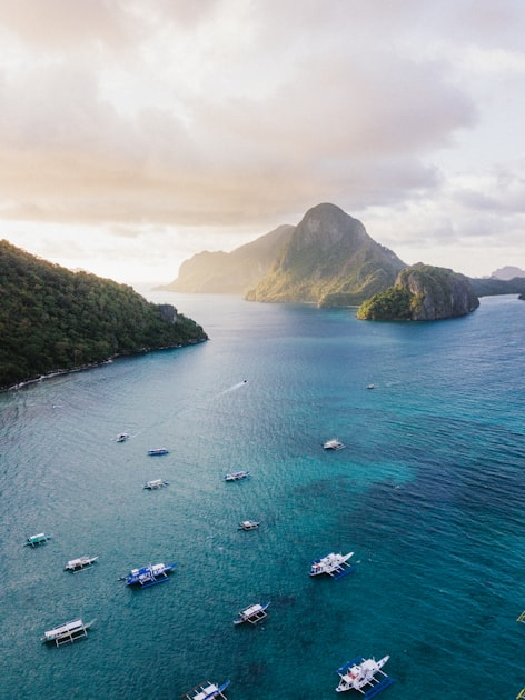 Steps to Buy Your Island