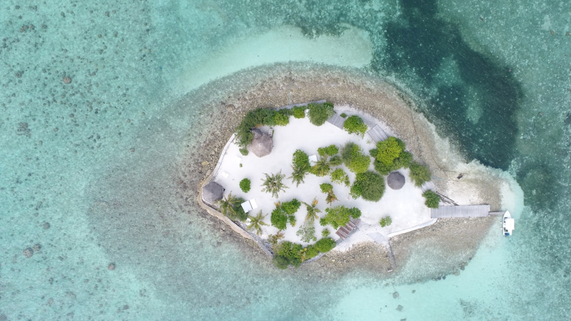 Island Maintenance Tips